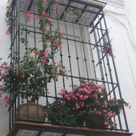 Apartment Carabeo 2000 3.1