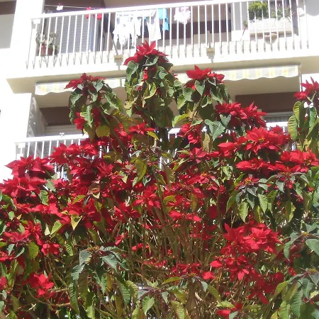 Carabeo 2000 3.1 Apartment Nerja