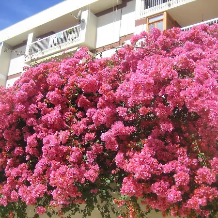 Apartment Carabeo 2000 3.1 Nerja