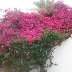 Carabeo 2000 3.1 Апартаменты *