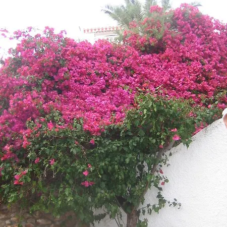 Carabeo 2000 3.1 Apartamento *