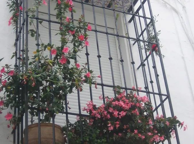 Apartament Carabeo 2000 3.1