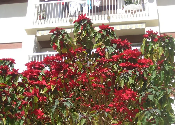 Carabeo 2000 3.1 Apartament Nerja