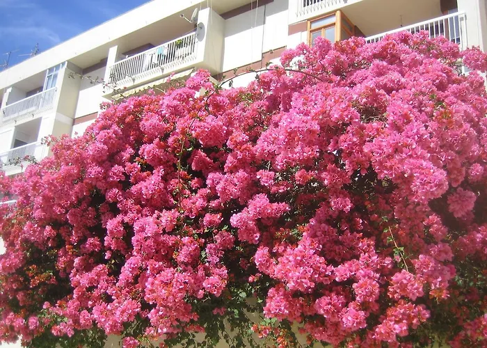 Apartament Carabeo 2000 3.1 Nerja